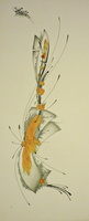 Métamorphose de la chrysalide (350€)